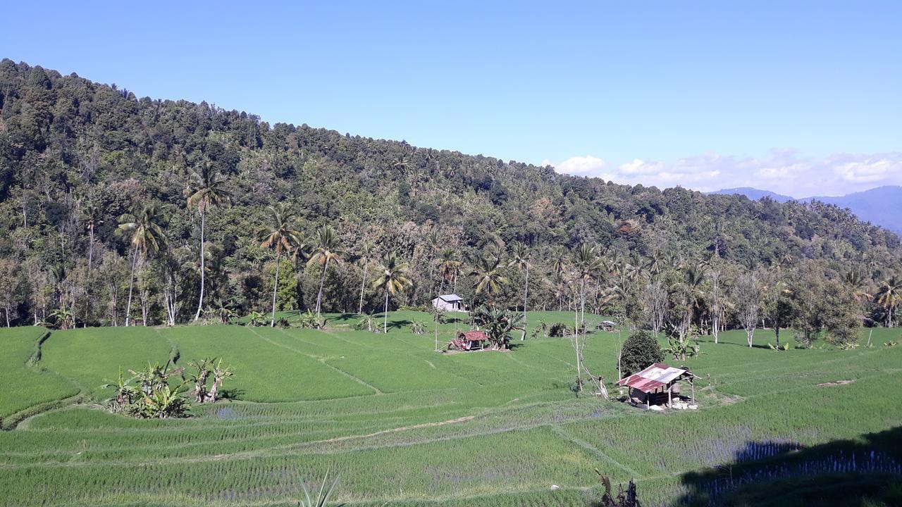 Pabean Buleleng Bagus Beach Resort Lovina מראה חיצוני תמונה